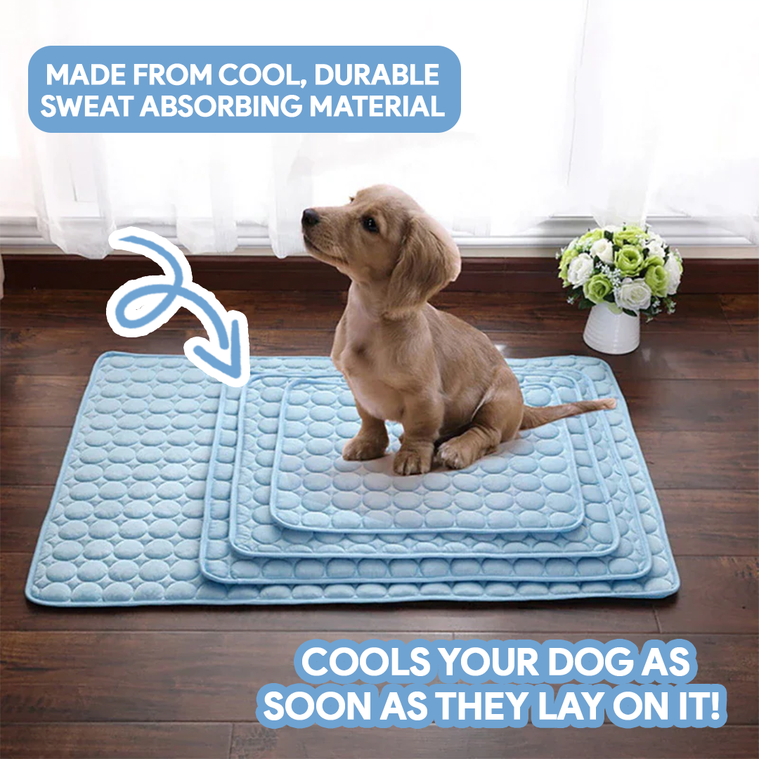 PetCoolโข V.3 - Pet Cooling Mat