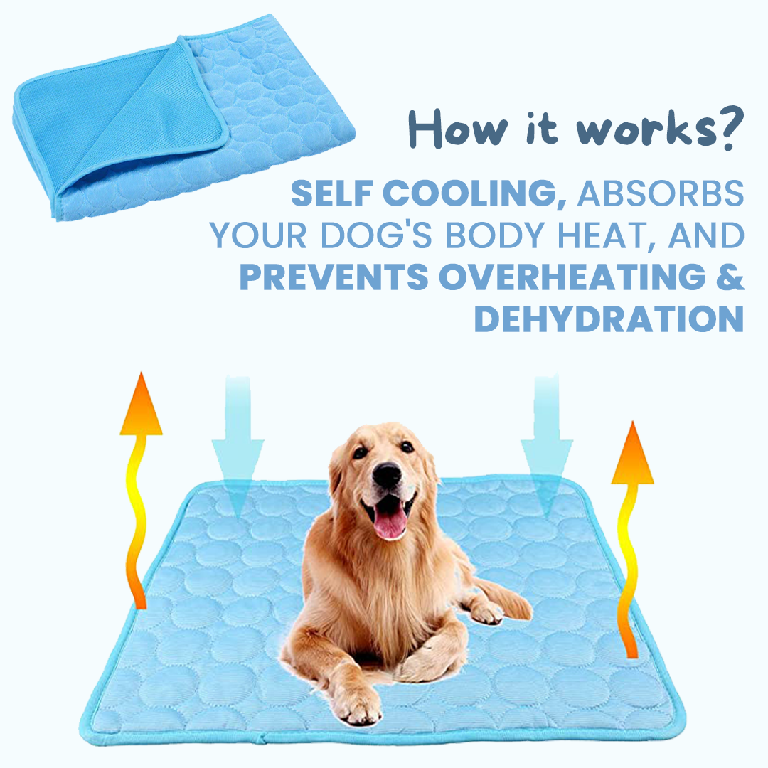 PetCoolโข V.3 - Pet Cooling Mat